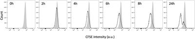 Storage-Induced Micro-Erythrocytes Can Be Quantified and Sorted by Flow Cytometry